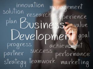 cursus business development